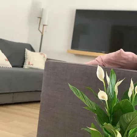 Appartement Pintada 57 *