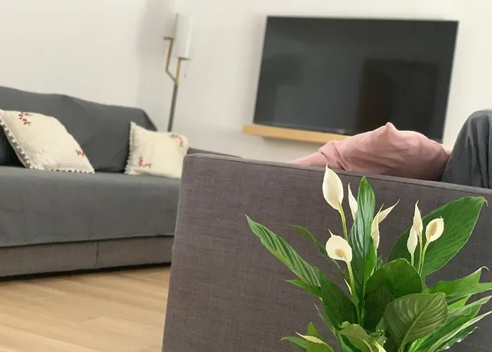 Apartment Pintada 57 *