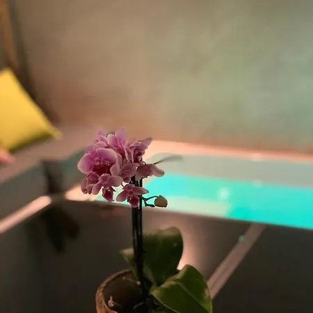Pintada 57 * נרחה