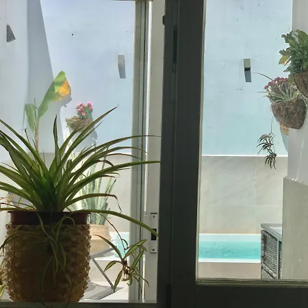 Pintada 57 * נרחה