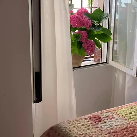 Pintada 57 * נרחה