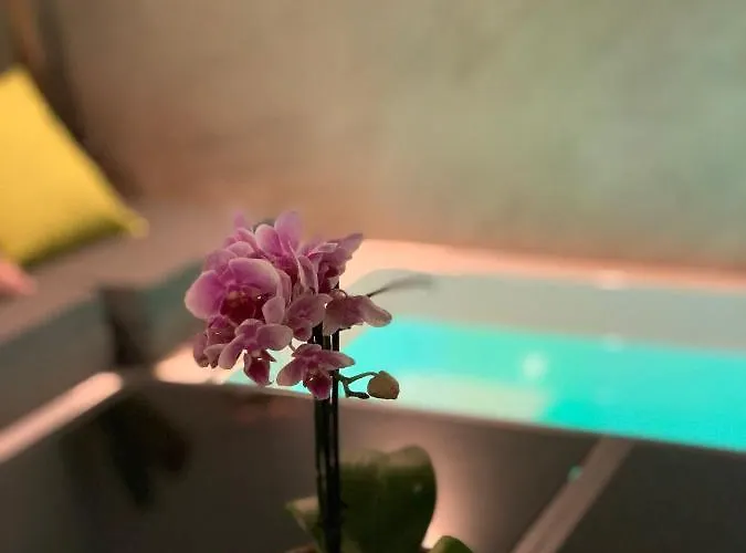 Pintada 57 * 内尔哈