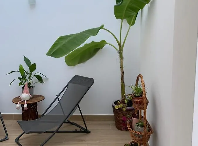 Pintada 57 公寓 内尔哈